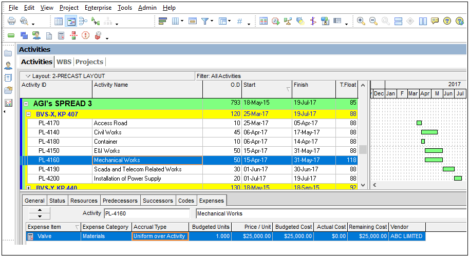 Primavera P6 Cost Management