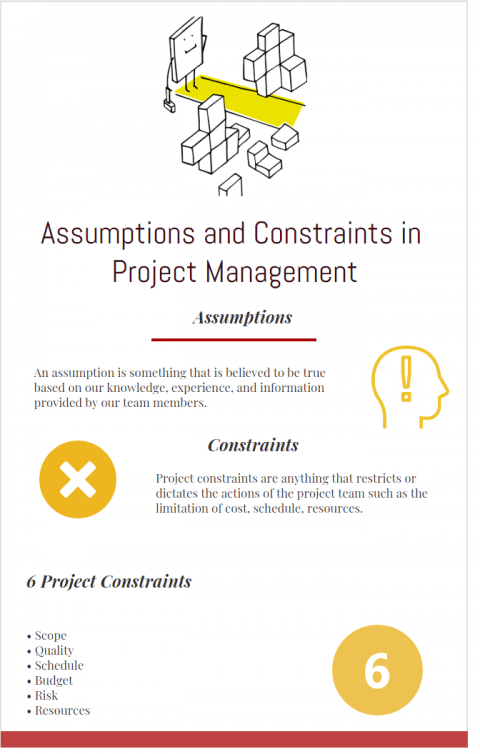 Assumptions and constraints infographic