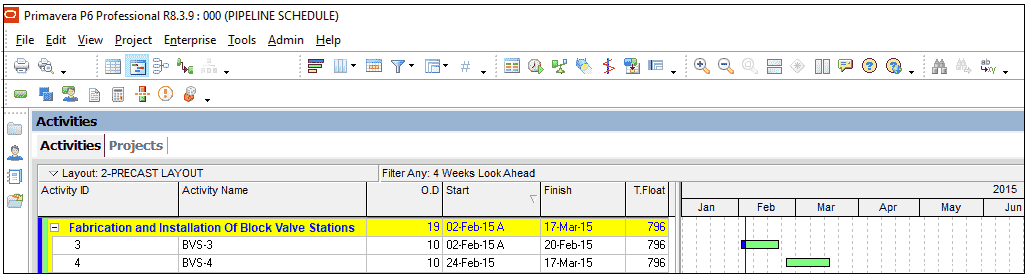 Creating Four Week Look Ahead Schedule In P6 Figure 6