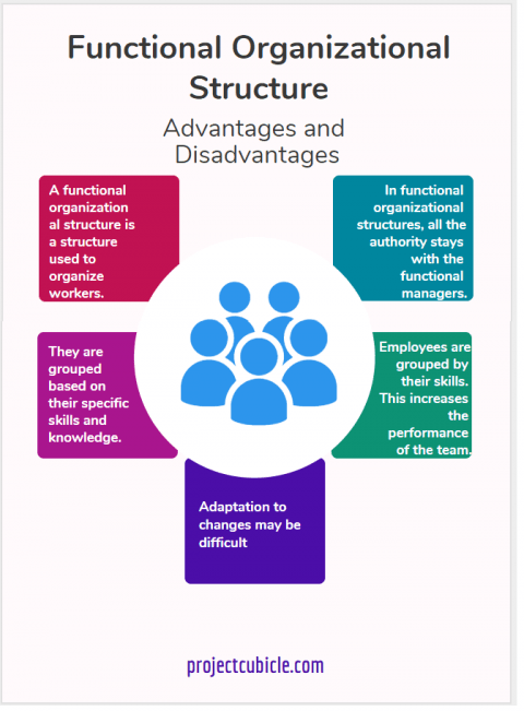 Functional Organizational Structure Advantages Disadvantages infographic