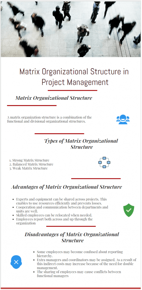 Advantages Disadvantages Matrix Organizational Structure