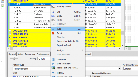 Primavera P6 Adding Activities Figure 2