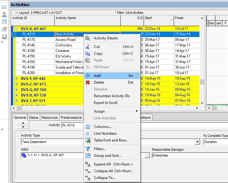 Primavera P6 Adding Activities Figure 2