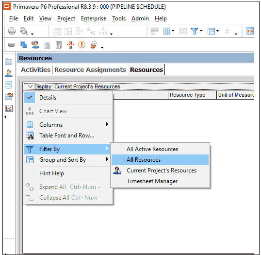 Types Of Resources In Primavera P6
