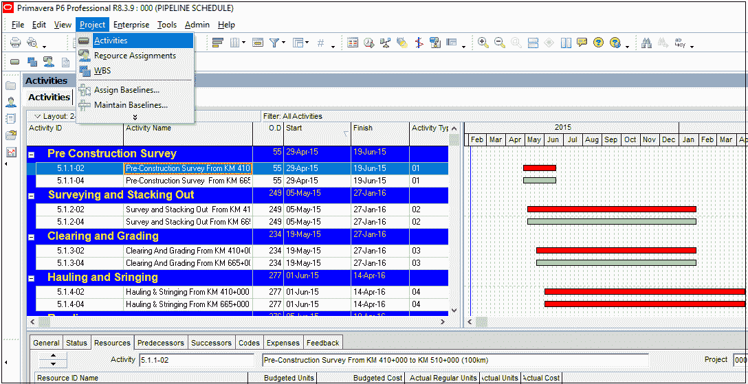 Primavera P6 Resources Figure 4