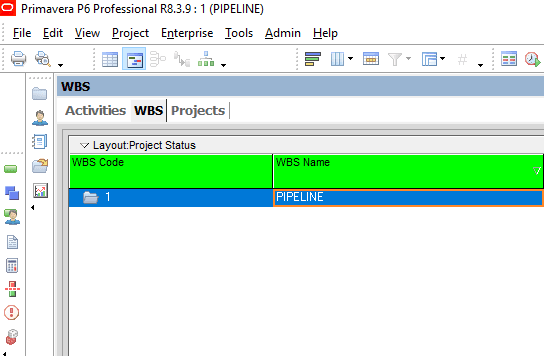 Primavera P6 Work Breakdown Structure