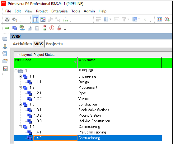 Oracle Primavera P6 Video Tutorial