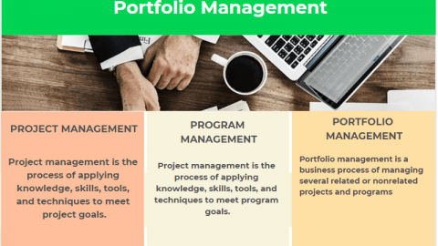Project Management Program Management Portfolio Management infographic