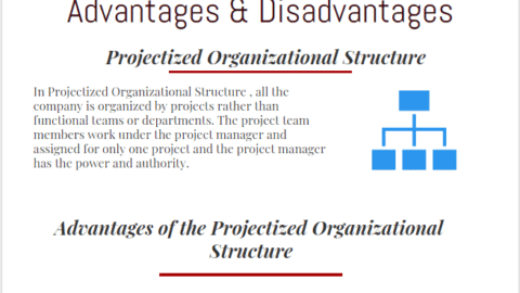 Projectized Organization Structure advantages and disadvantages infographic