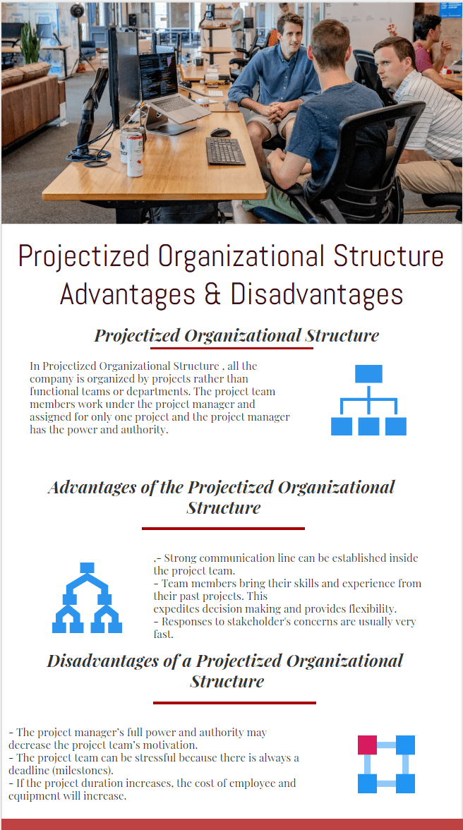 Projectized Organization Structure advantages and disadvantages infographic