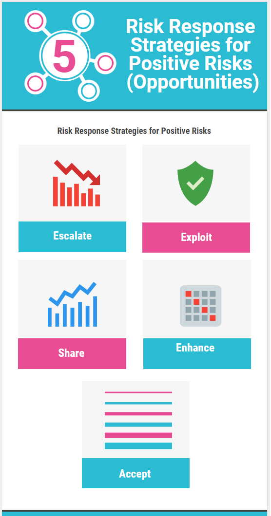 Risk Response Strategies for Positive Risks