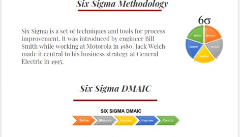Six Sigma Methodology DMAIC DMADV Six Sigma Principles infographic