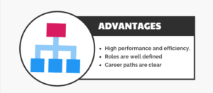 advantages of structure