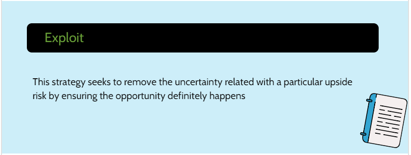 Exploit Risk Response Strategy-Min