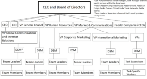 fedex functional organizational structure