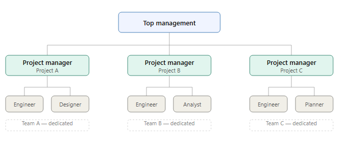 projectized organizational structure