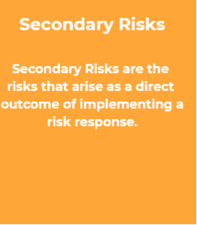 Secondary Risks-Min