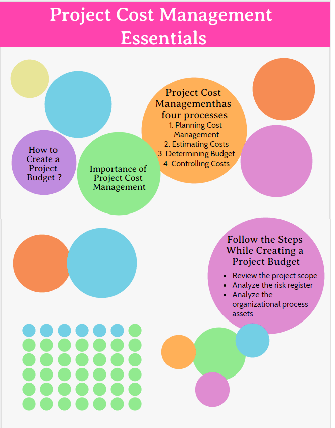 importance of Project Cost Management Best Practices, project cost management processes infographic