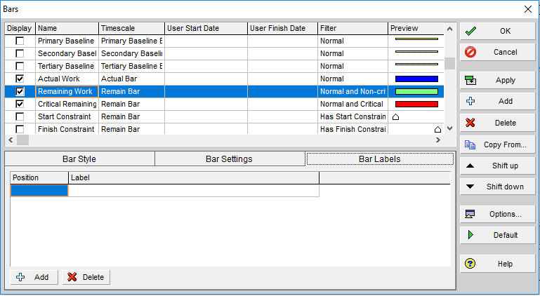 Oracle P6 labeling options