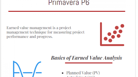 Earned Value Management System Formulas in Primavera P6