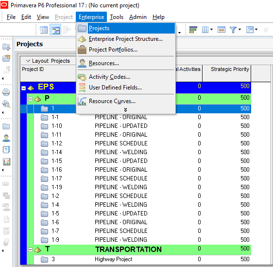 Primavera Project Portfolio Management Software - Enterprise Project Structure