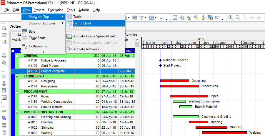 Primavera Project Management Bar Chart (Gantt View)