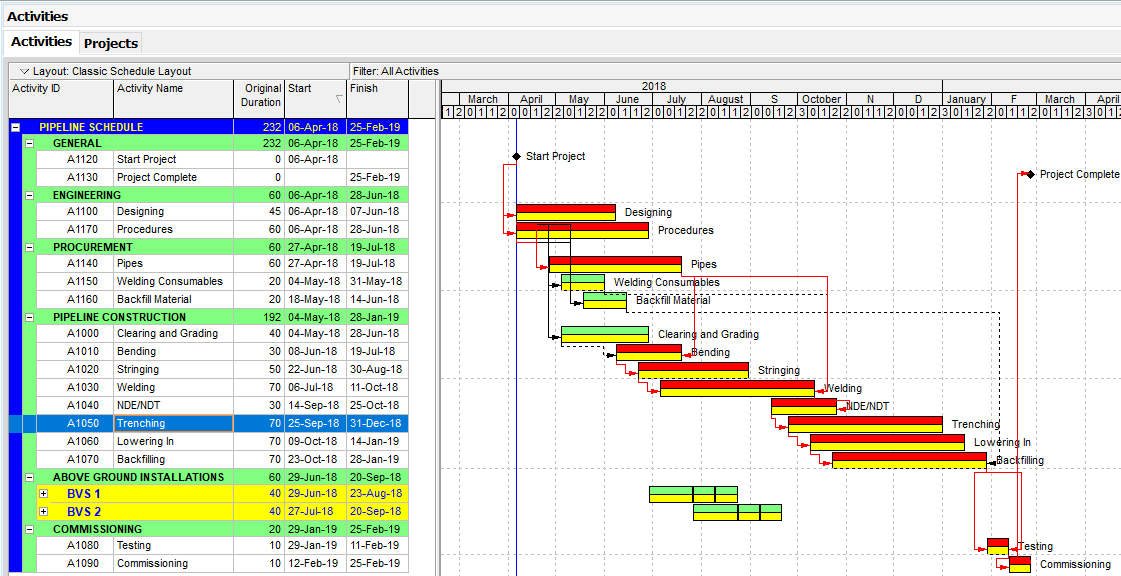 Earned Value Management System Software Primavera P6 