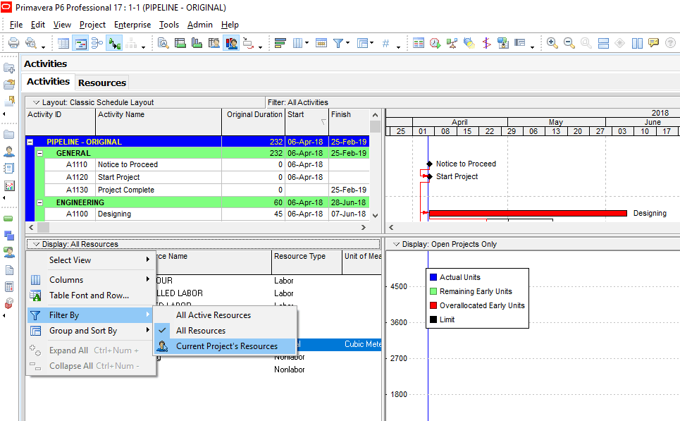 Figure 3 Filter By Current Project's Resources -What is a Stacked Bar Chart ? Primavera P6 Stacked Bar Chart & Stacked Histogram