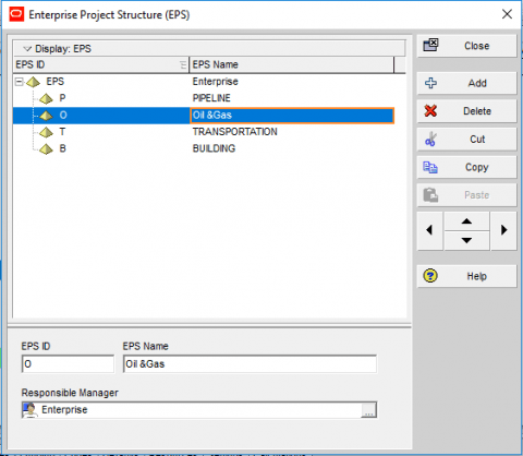 Primavera Project Portfolio Management [2024]
