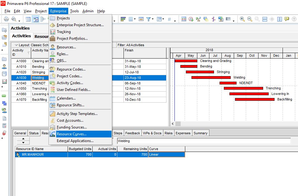 Figure 3 Primavera Resoruce Curves - How to Generate Different Types of Resource Curves in Primavera P6