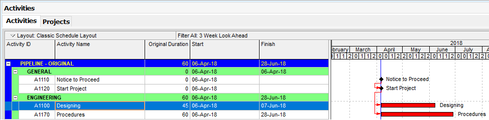 Oracle Primavera P6 Schedule