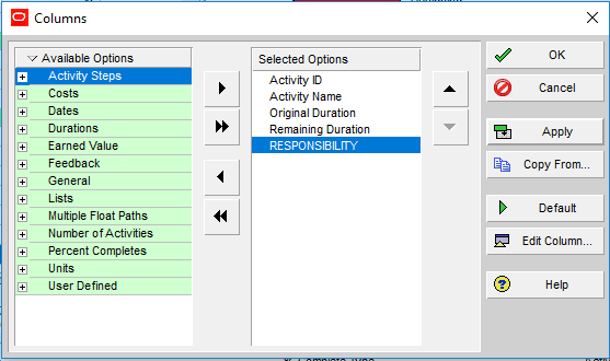 Figure 5 Customizing Columns -how to filter activities in primavera p6 filter by feature