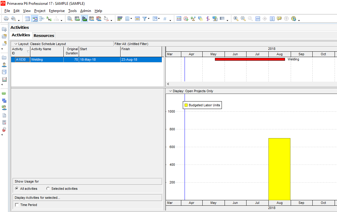 Figure 8 Resource Usage Profile - How to Generate Different Types of Resource Curves in Primavera P6