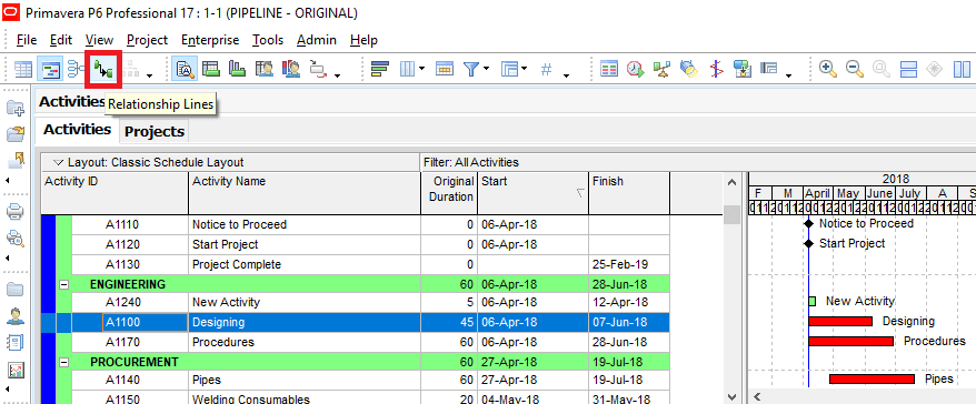 Primavera Project Management Software Tools - Primavera P6 Bar Chart Labels
