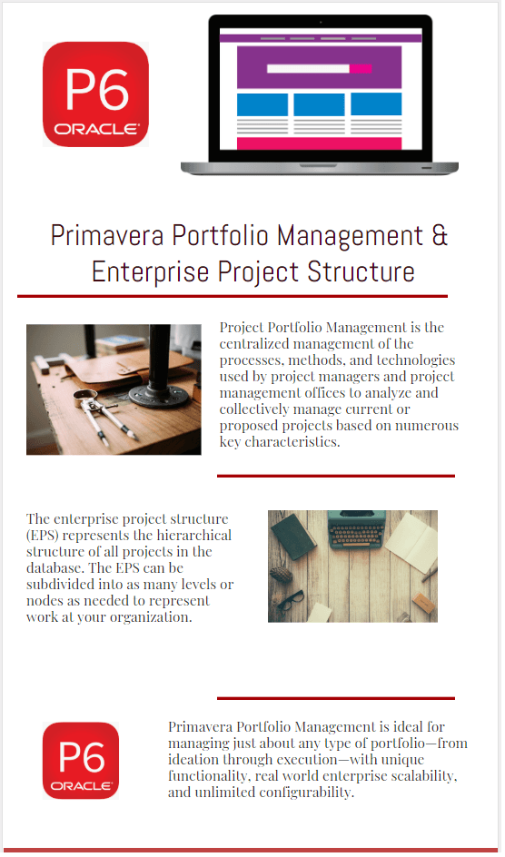 Primavera Project Portfolio Management & Enterprise Project Structure