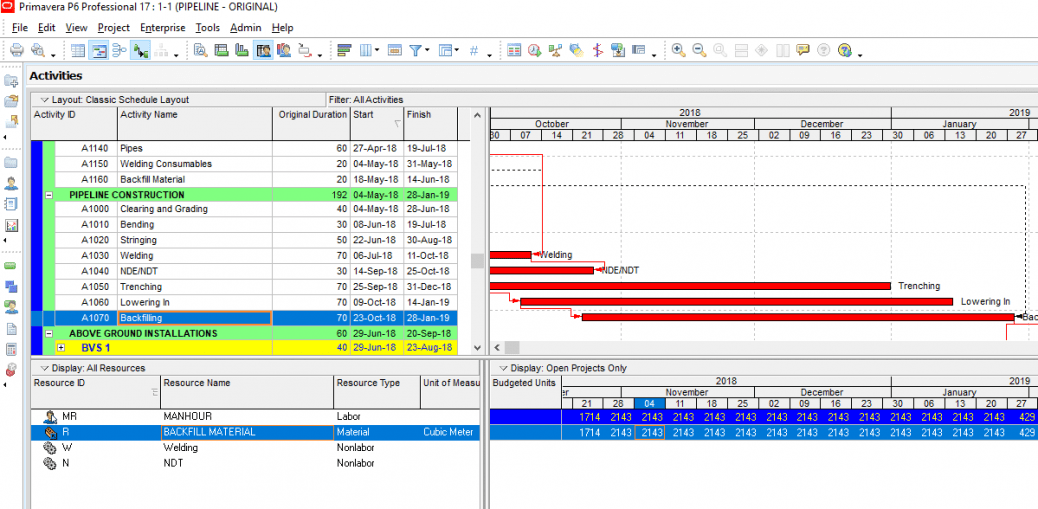 Oracle Primavera P6