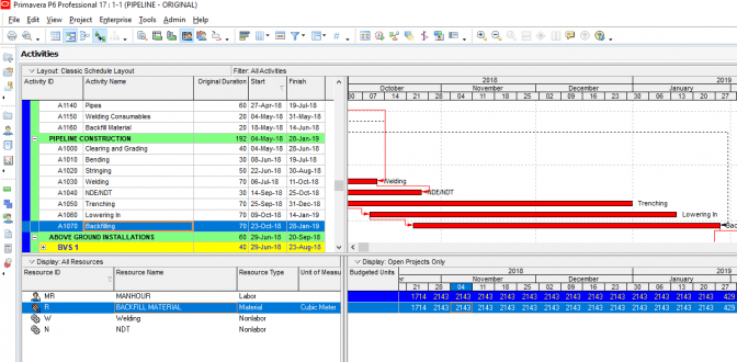 Oracle Primavera P6