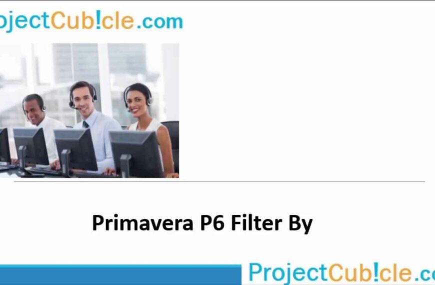 Primavera P6 Filters Explained (Filter By Feature)