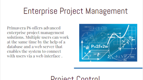 primavera p6 tutorial infographic