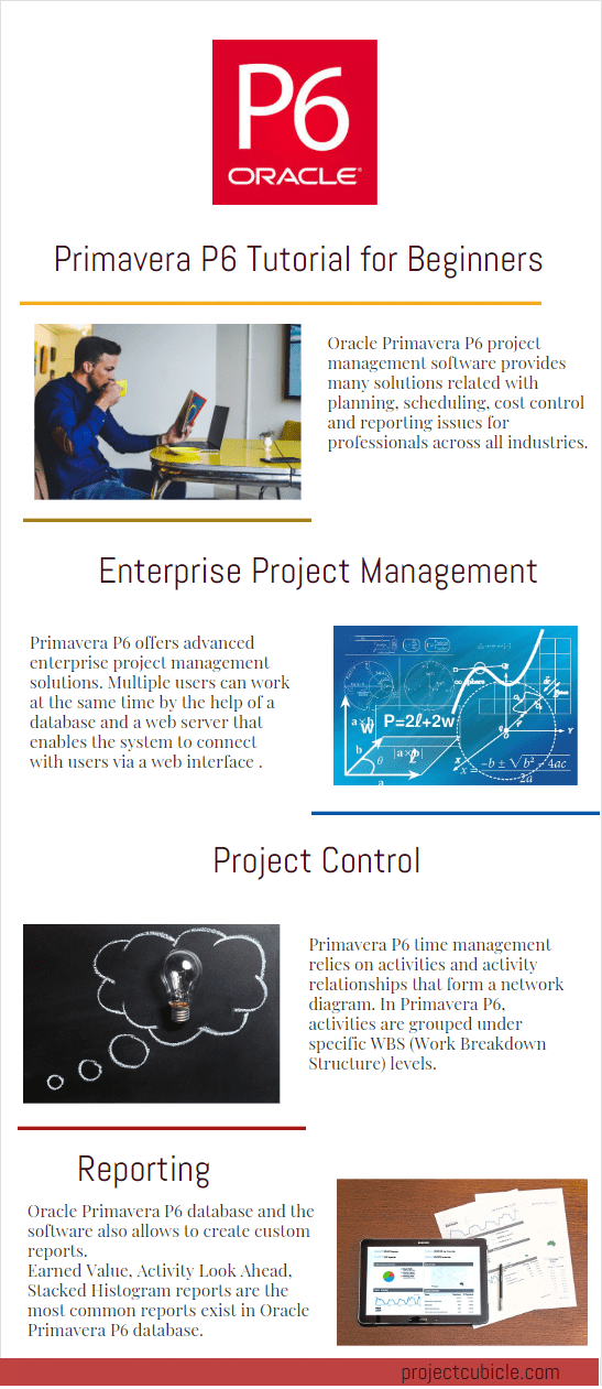 primavera p6 tutorial infographic