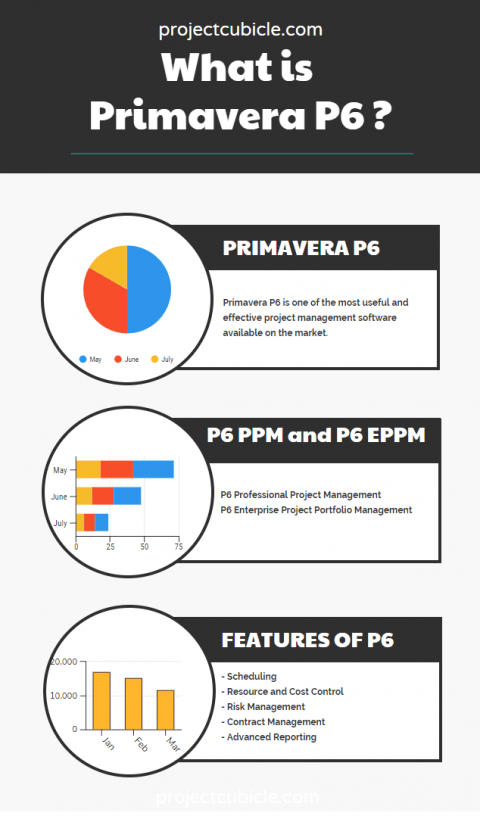 What is Primavera P6 how to learn primavera p6 project scheduling software infographic