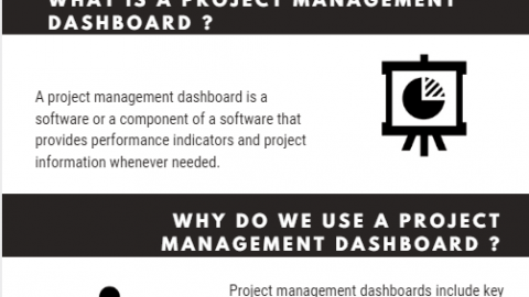 project management dashboard infographic
