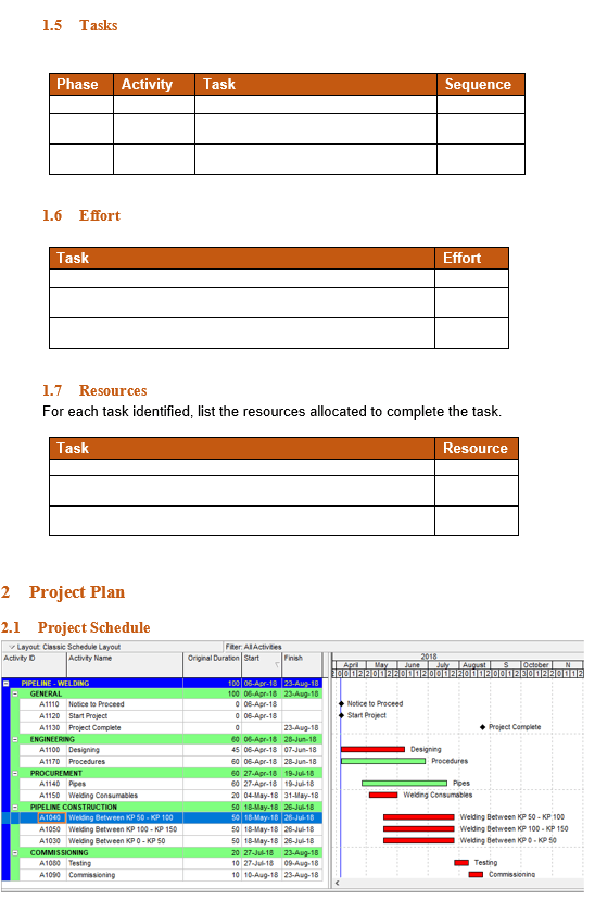 Project Plan Template Example