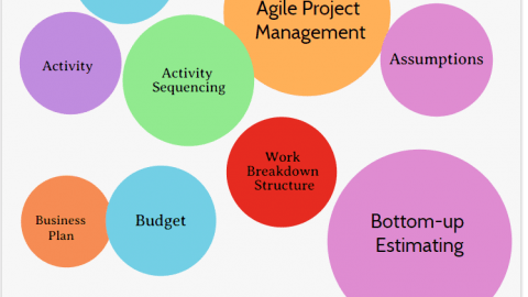 Project Management Terms and Concepts