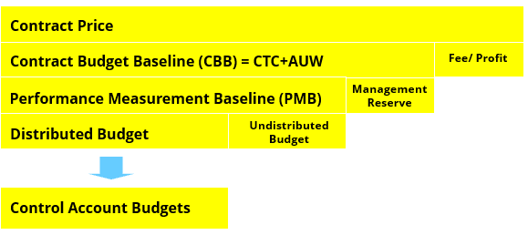 project controls and cost control webinar