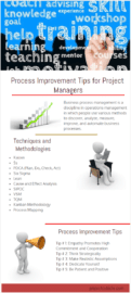 business process improvement tips for project managers