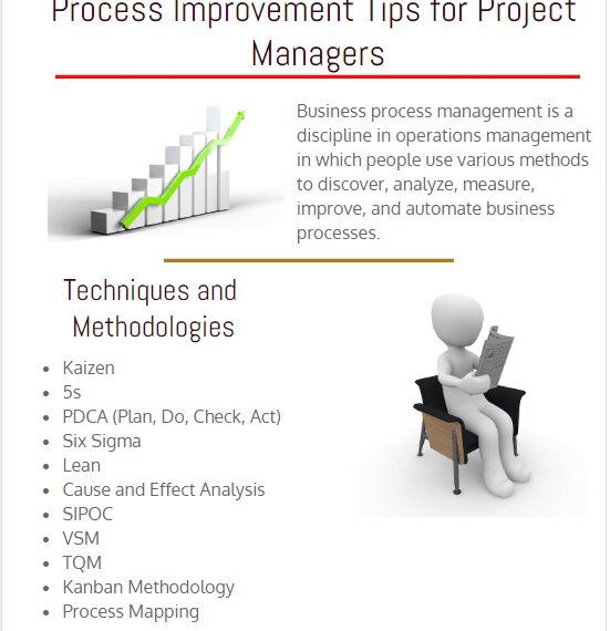 business process improvement tips for project managers