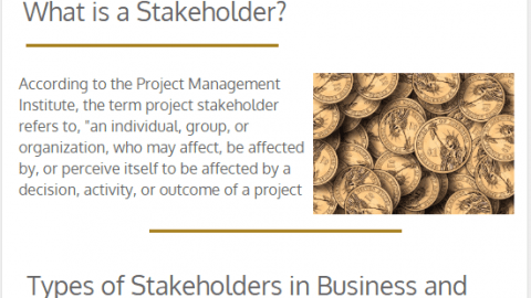 what is a stakeholder, different types of stakeholders and their roles in project management