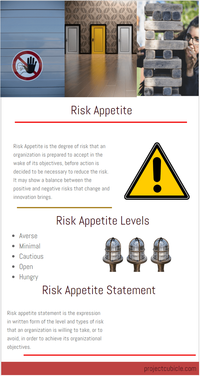 what is risk appetite