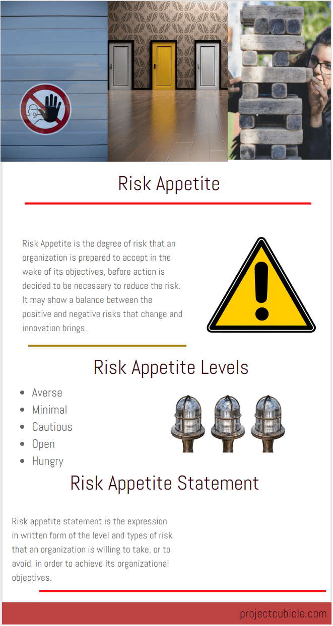 Risk Appetite What Is Risk Appetite Definition Projectcubicle